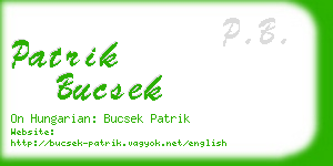 patrik bucsek business card